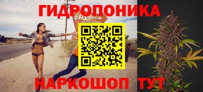 метадон Тула